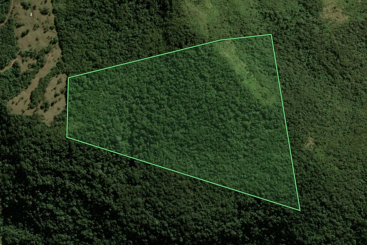 Imagem de satélite do imóvel rural em Manoel Ribas (PR), com o contorno declarado no CAR desenhado por cima.