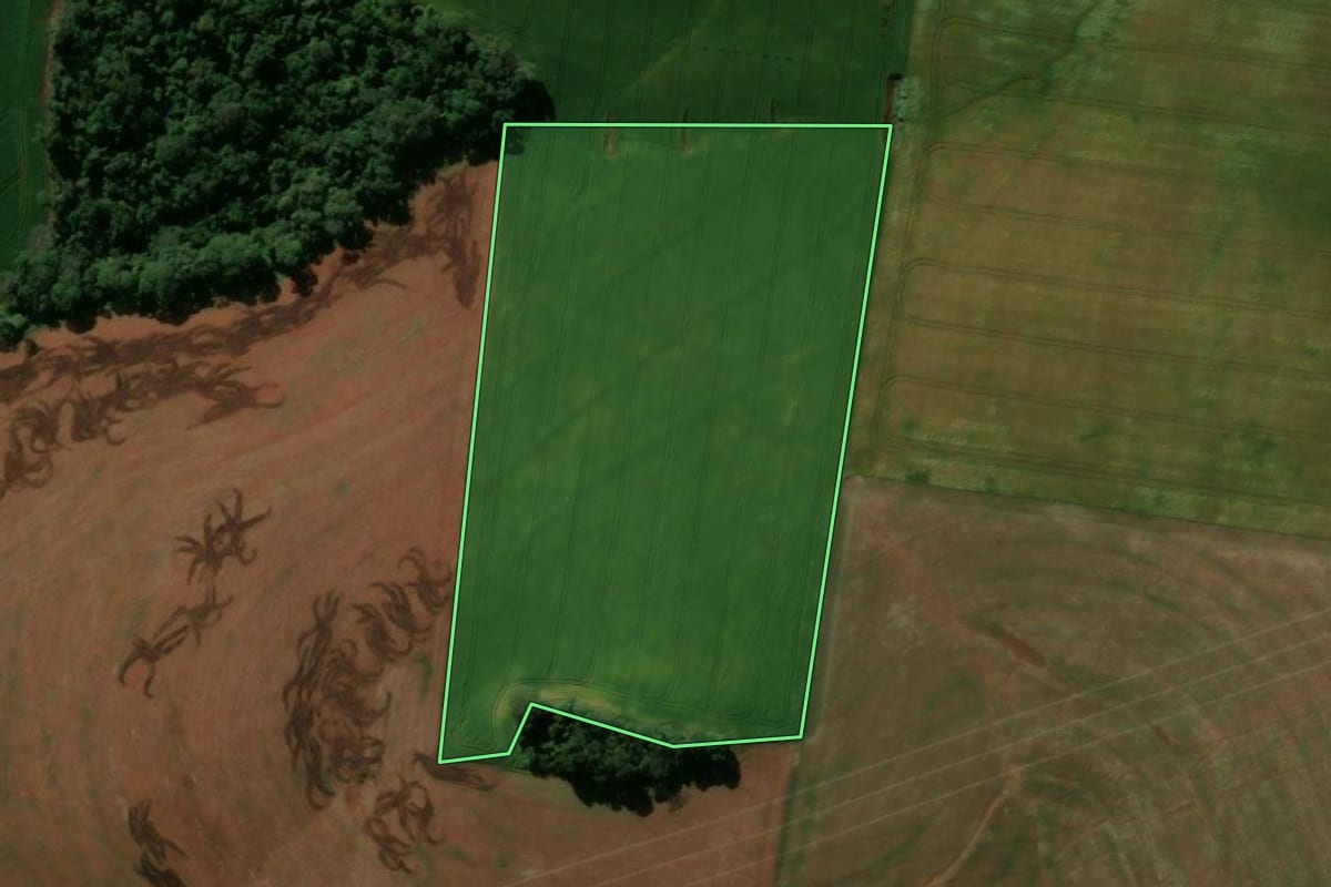 Imagem de satélite do imóvel rural em Manoel Ribas (PR), com o contorno declarado no CAR desenhado por cima.