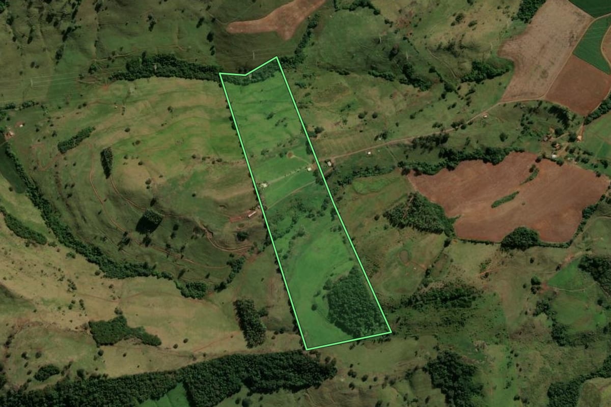 Imagem de satélite do imóvel rural em Manoel Ribas (PR), com o contorno declarado no CAR desenhado por cima.