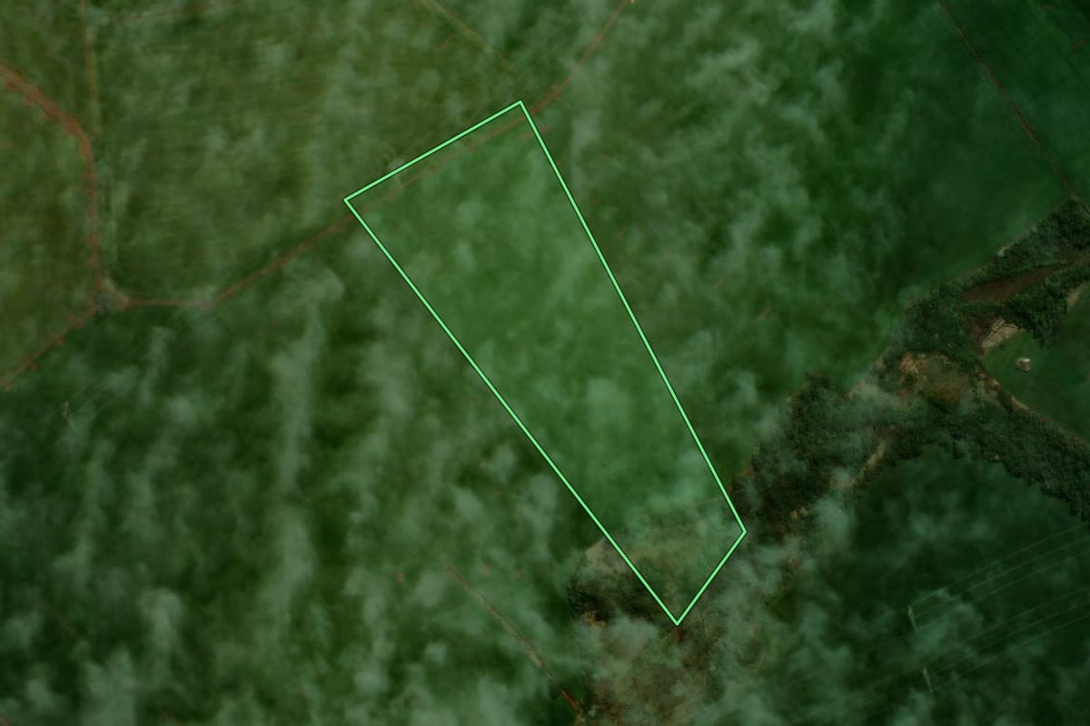 Imagem de satélite do imóvel rural em Manoel Ribas (PR), com o contorno declarado no CAR desenhado por cima.