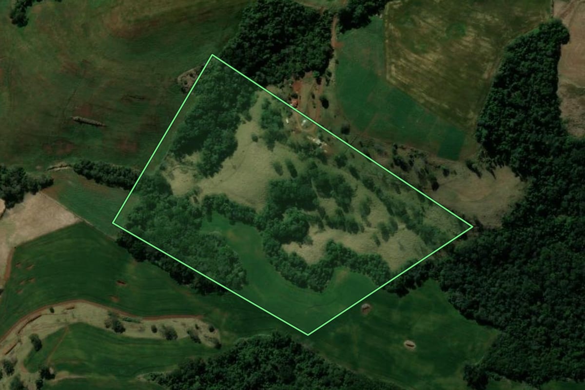 Imagem de satélite do imóvel rural em Manoel Ribas (PR), com o contorno declarado no CAR desenhado por cima.
