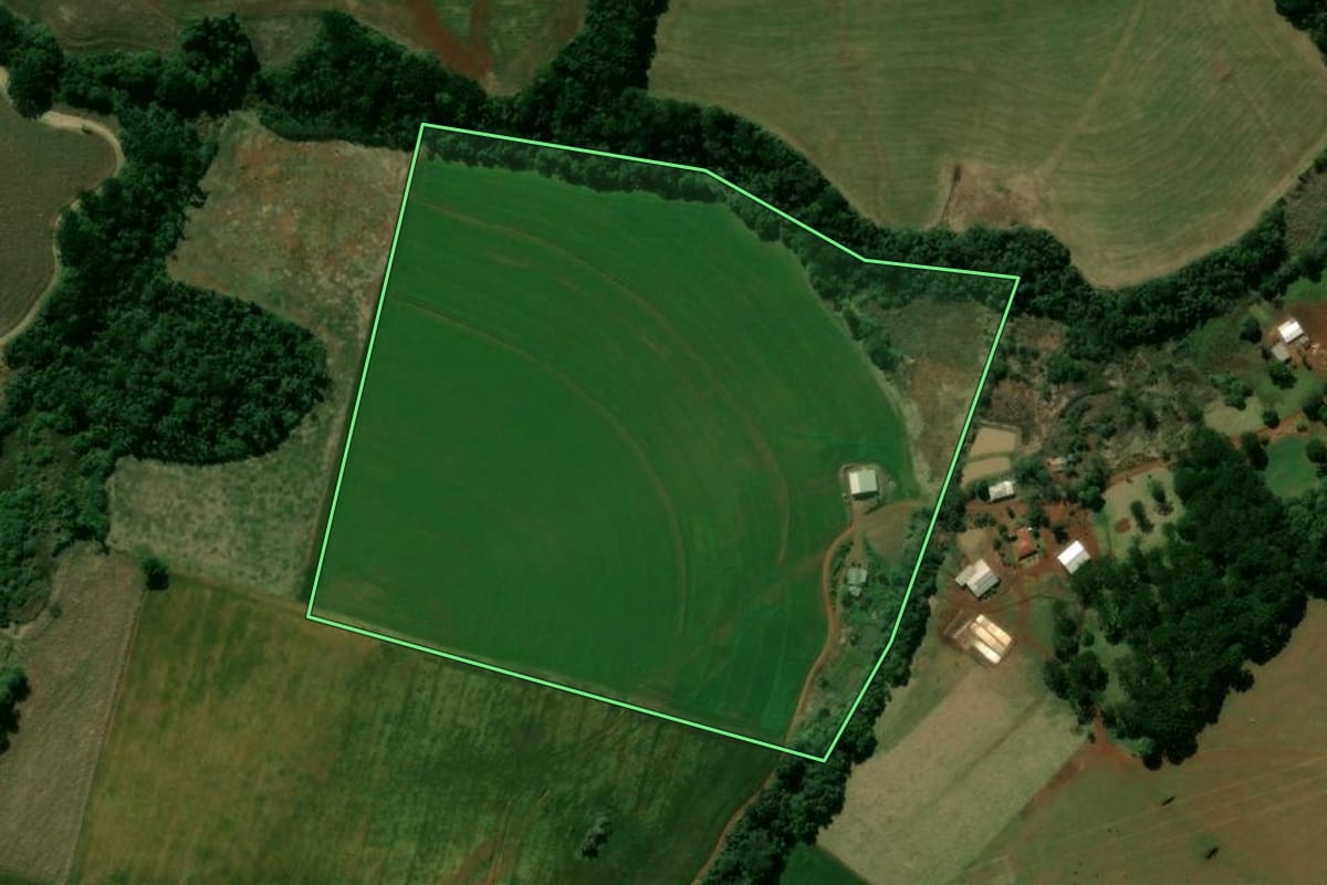 Imagem de satélite do imóvel rural em Manoel Ribas (PR), com o contorno declarado no CAR desenhado por cima.