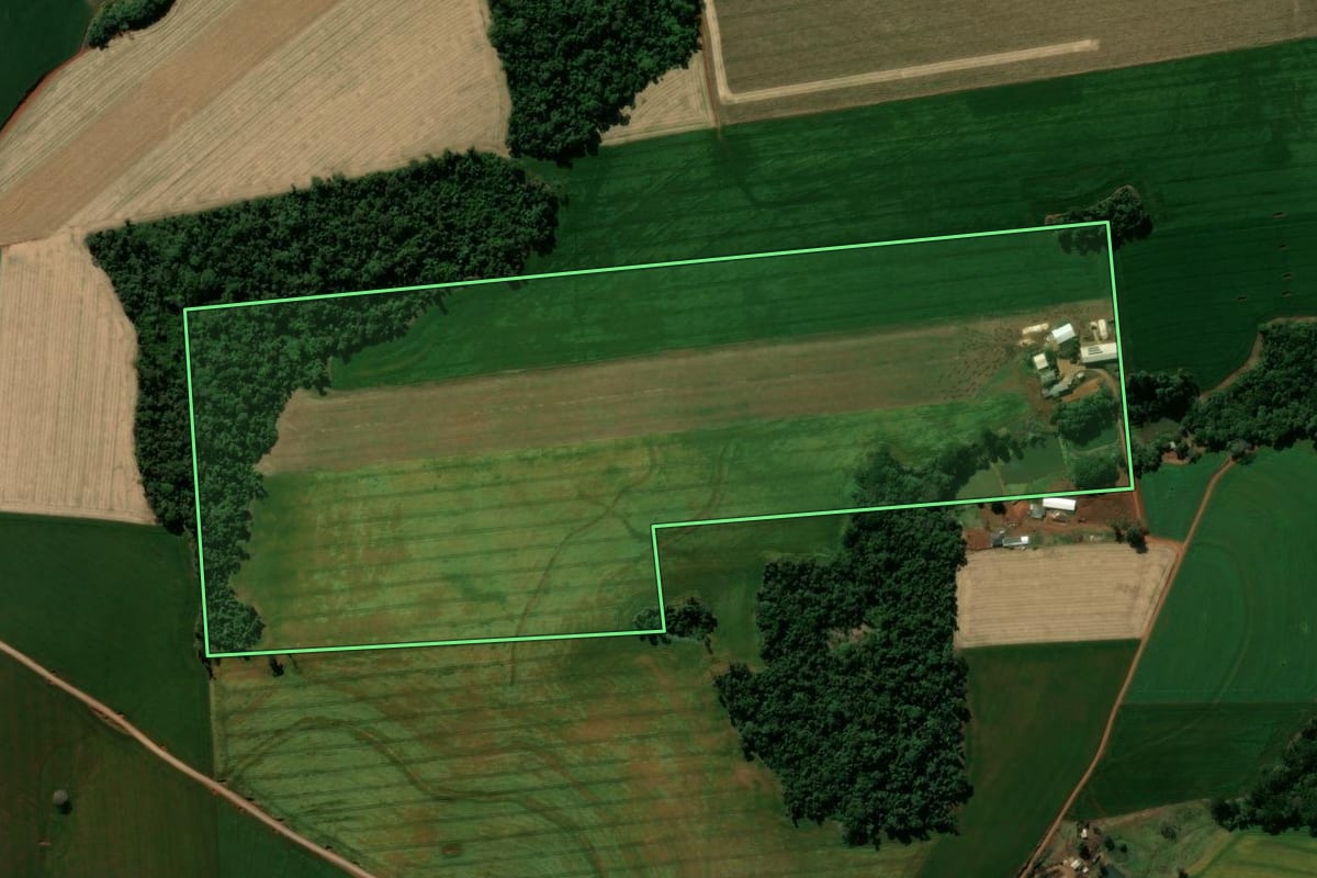 Imagem de satélite do imóvel rural em Manoel Ribas (PR), com o contorno declarado no CAR desenhado por cima.