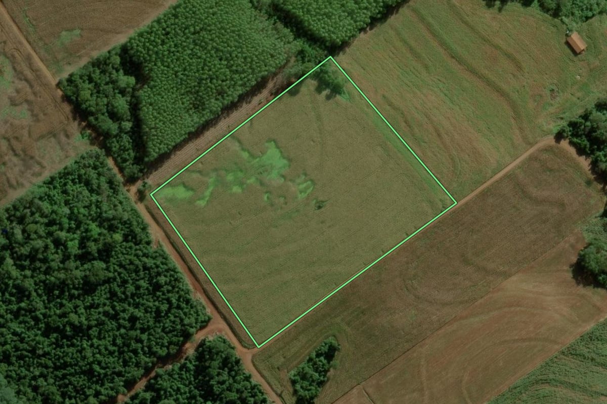 Imagem de satélite do imóvel rural em Marechal Cândido Rondon (PR), com o contorno declarado no CAR desenhado por cima.
