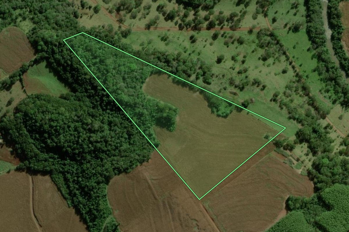 Imagem de satélite do imóvel rural em Marechal Cândido Rondon (PR), com o contorno declarado no CAR desenhado por cima.