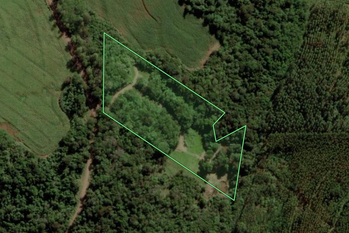 Imagem de satélite do imóvel rural em Marechal Cândido Rondon (PR), com o contorno declarado no CAR desenhado por cima.