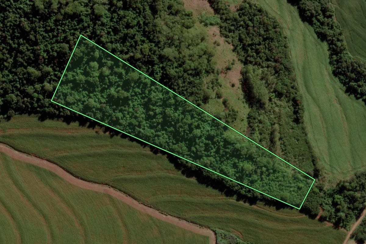 Imagem de satélite do imóvel rural em Marechal Cândido Rondon (PR), com o contorno declarado no CAR desenhado por cima.