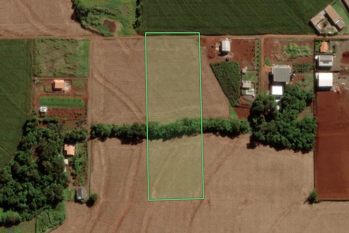 Imagem de satélite do imóvel rural em Marechal Cândido Rondon (PR), com o contorno declarado no CAR desenhado por cima.