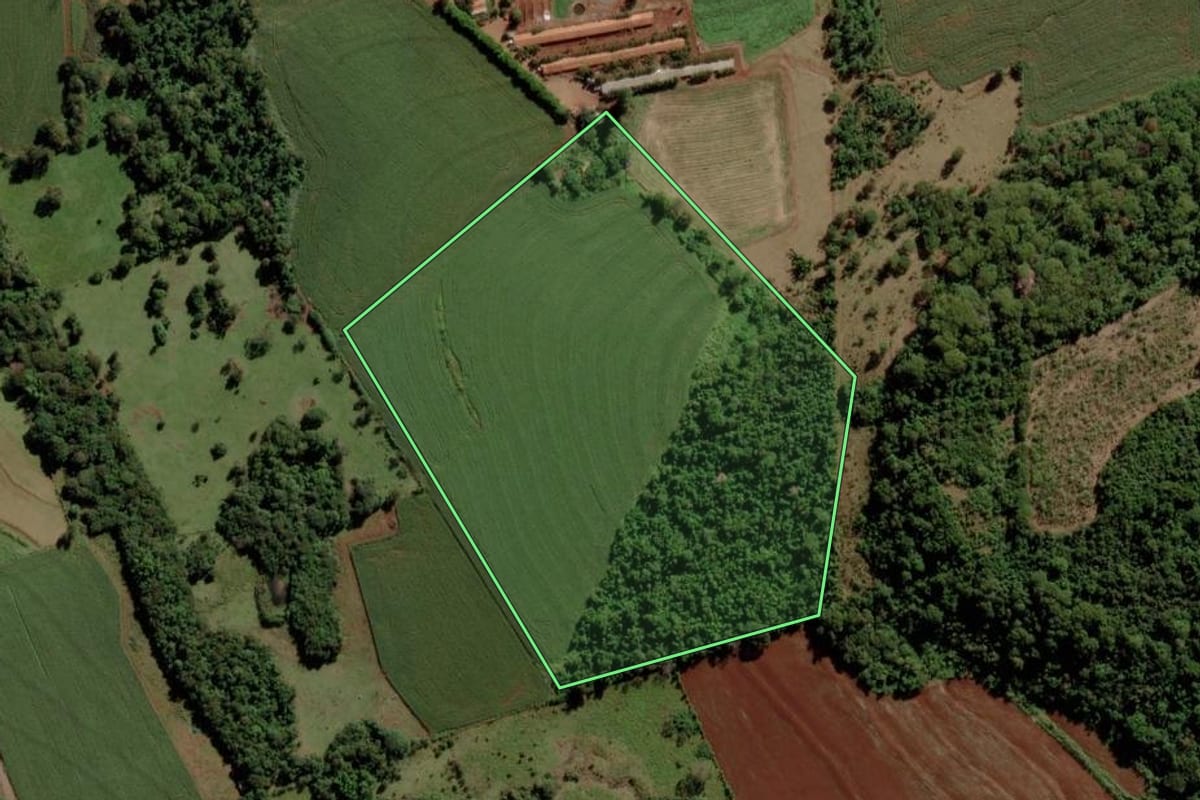 Imagem de satélite do imóvel rural em Marechal Cândido Rondon (PR), com o contorno declarado no CAR desenhado por cima.