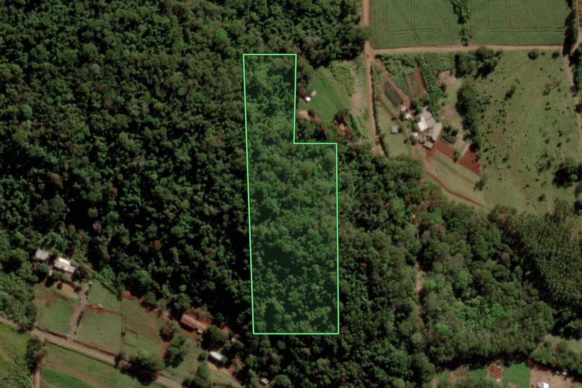 Imagem de satélite do imóvel rural em Marechal Cândido Rondon (PR), com o contorno declarado no CAR desenhado por cima.