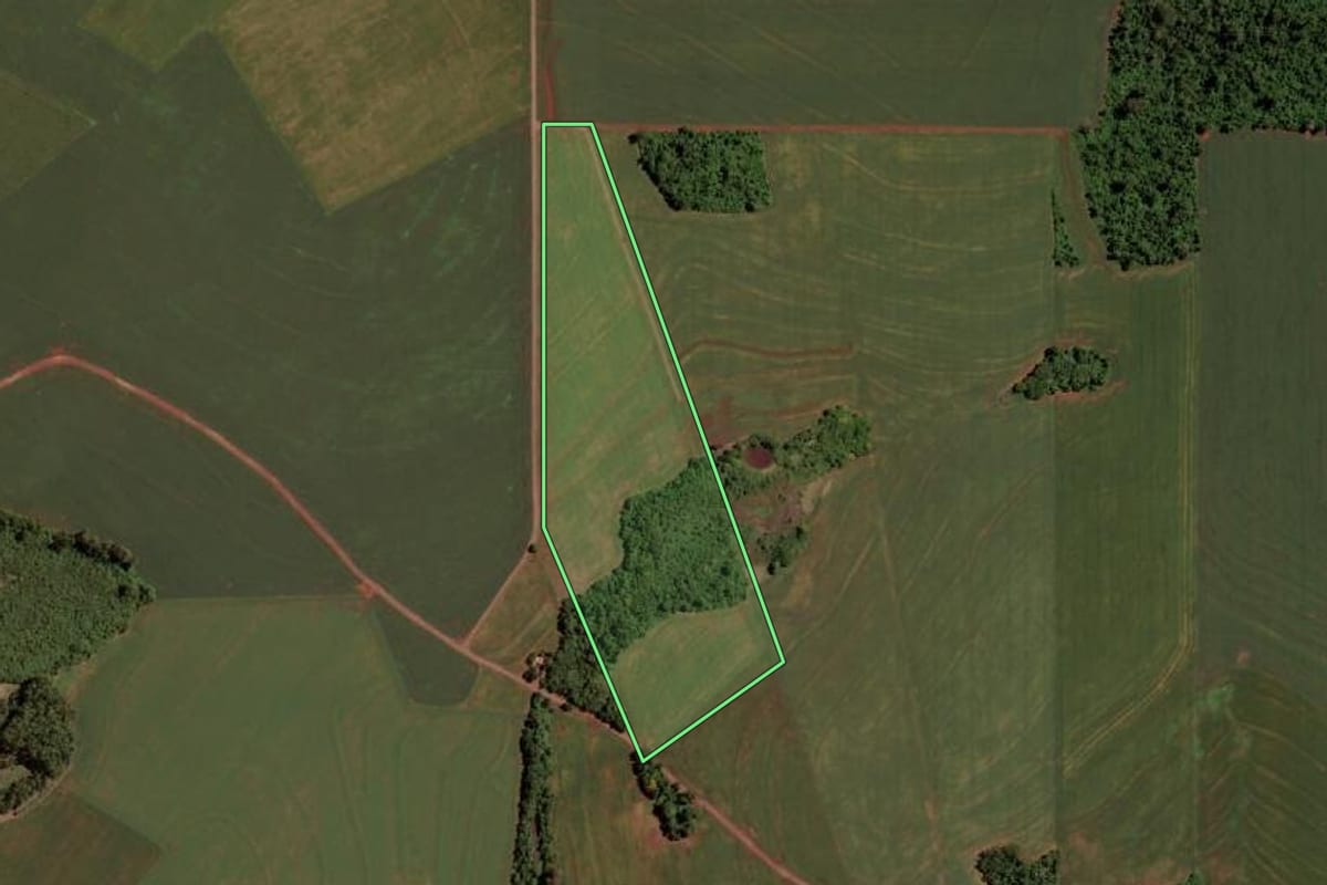 Imagem de satélite do imóvel rural em Marechal Cândido Rondon (PR), com o contorno declarado no CAR desenhado por cima.