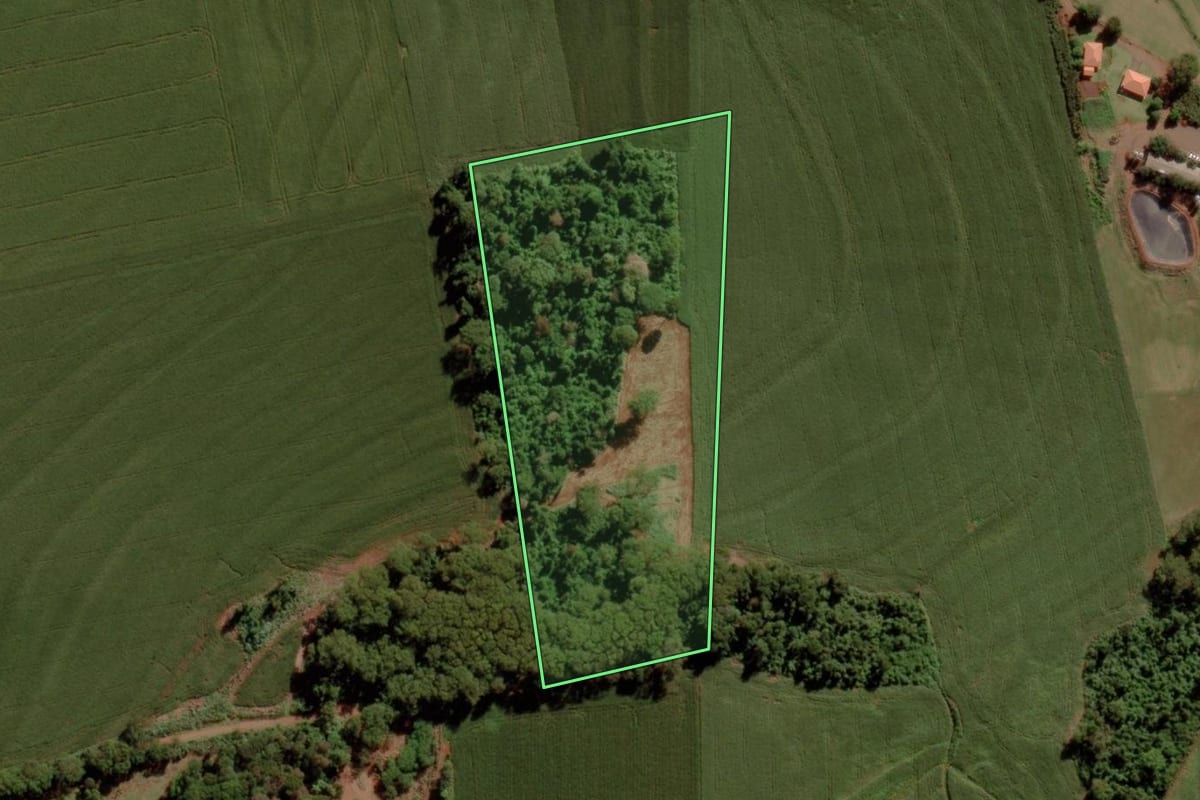 Imagem de satélite do imóvel rural em Marechal Cândido Rondon (PR), com o contorno declarado no CAR desenhado por cima.