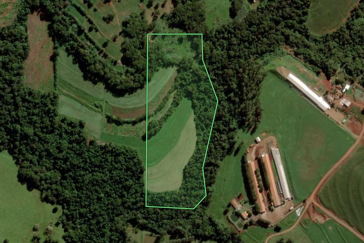 Imagem de satélite do imóvel rural em Marechal Cândido Rondon (PR), com o contorno declarado no CAR desenhado por cima.