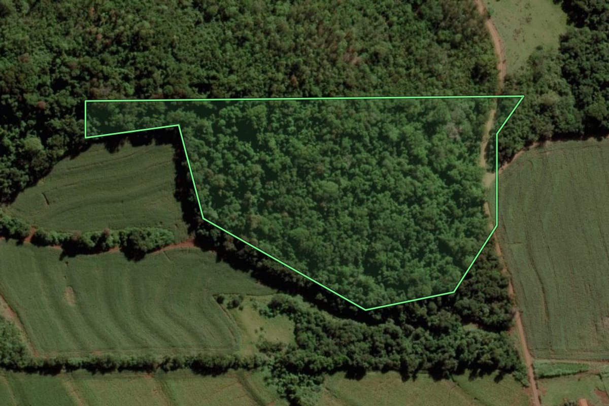 Imagem de satélite do imóvel rural em Marechal Cândido Rondon (PR), com o contorno declarado no CAR desenhado por cima.