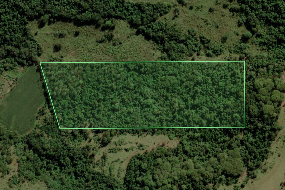 Imagem de satélite do imóvel rural em Marechal Cândido Rondon (PR), com o contorno declarado no CAR desenhado por cima.