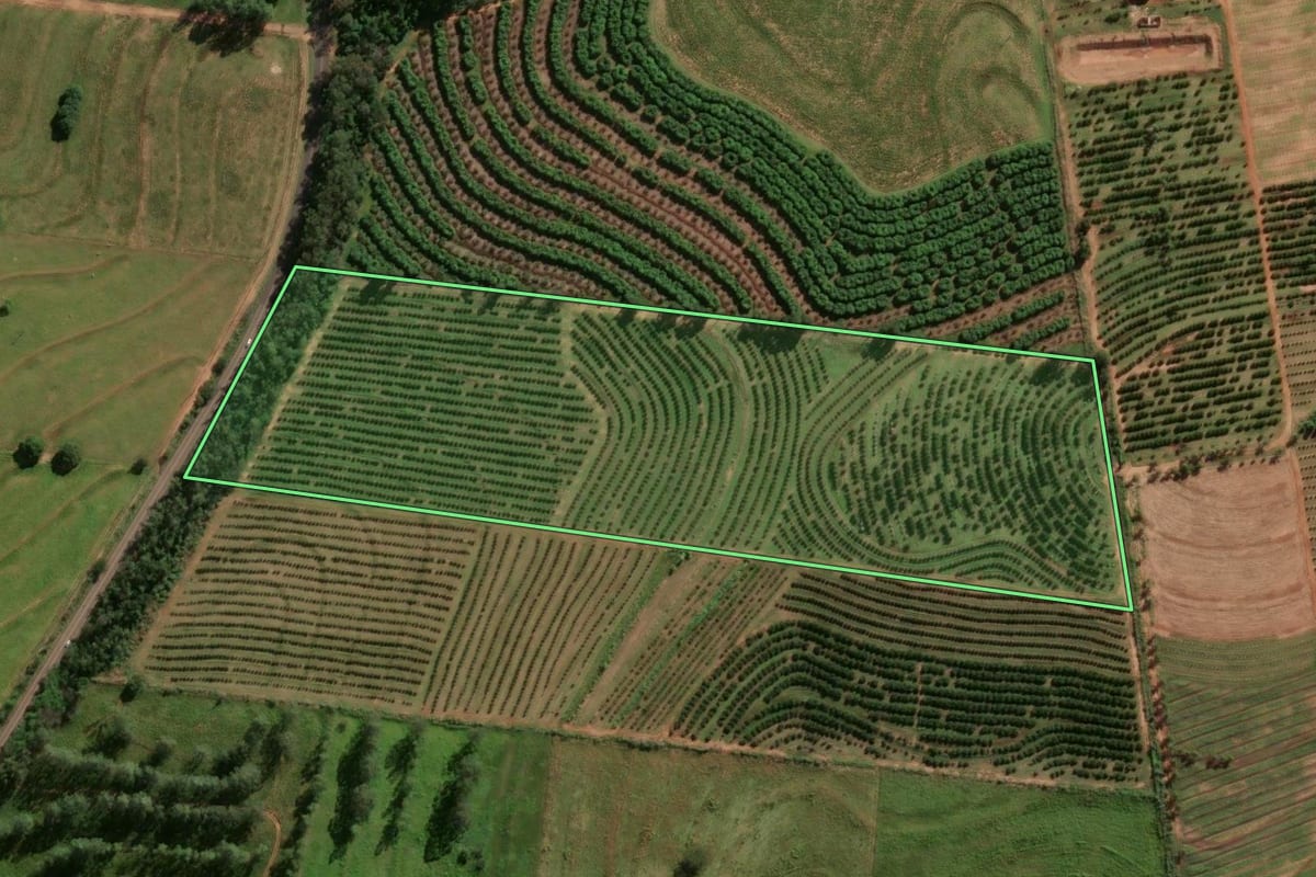 Imagem de satélite do imóvel rural em Maria Helena (PR), com o contorno declarado no CAR desenhado por cima.