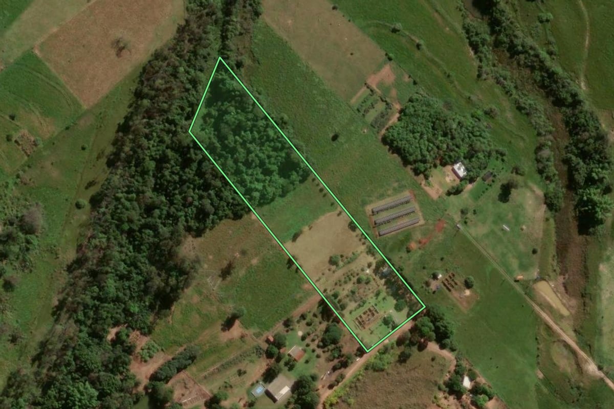 Imagem de satélite do imóvel rural em Maria Helena (PR), com o contorno declarado no CAR desenhado por cima.