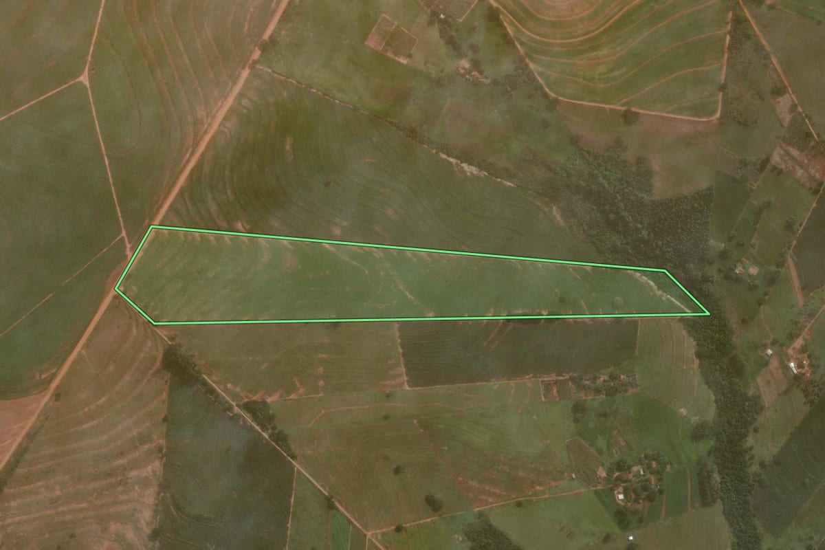 Imagem de satélite do imóvel rural em Maria Helena (PR), com o contorno declarado no CAR desenhado por cima.