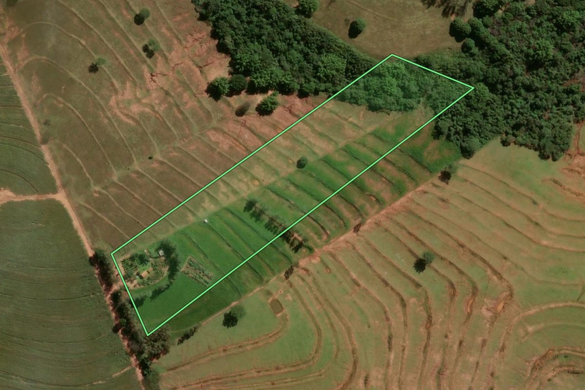 Imagem de satélite do imóvel rural em Maria Helena (PR), com o contorno declarado no CAR desenhado por cima.