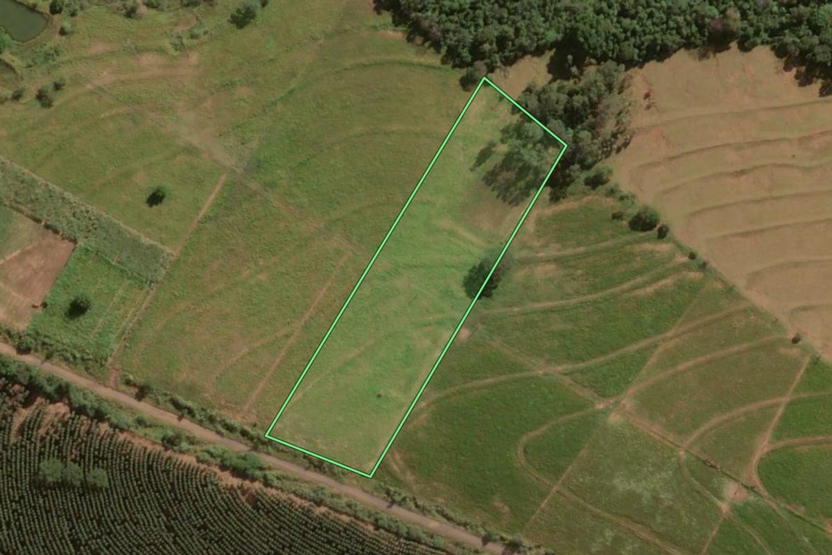 Imagem de satélite do imóvel rural em Maria Helena (PR), com o contorno declarado no CAR desenhado por cima.