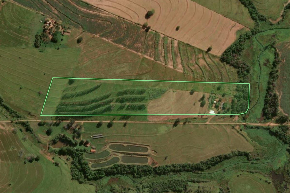 Imagem de satélite do imóvel rural em Maria Helena (PR), com o contorno declarado no CAR desenhado por cima.