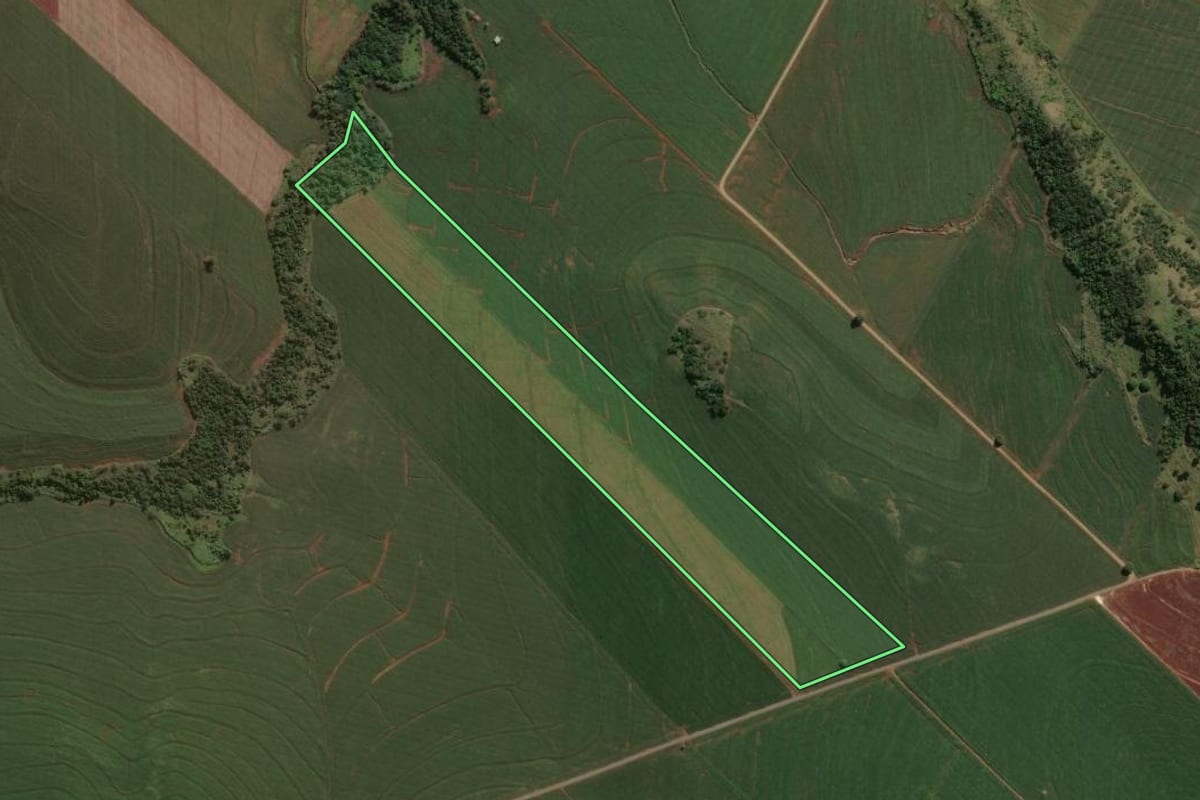 Imagem de satélite do imóvel rural em Marialva (PR), com o contorno declarado no CAR desenhado por cima.