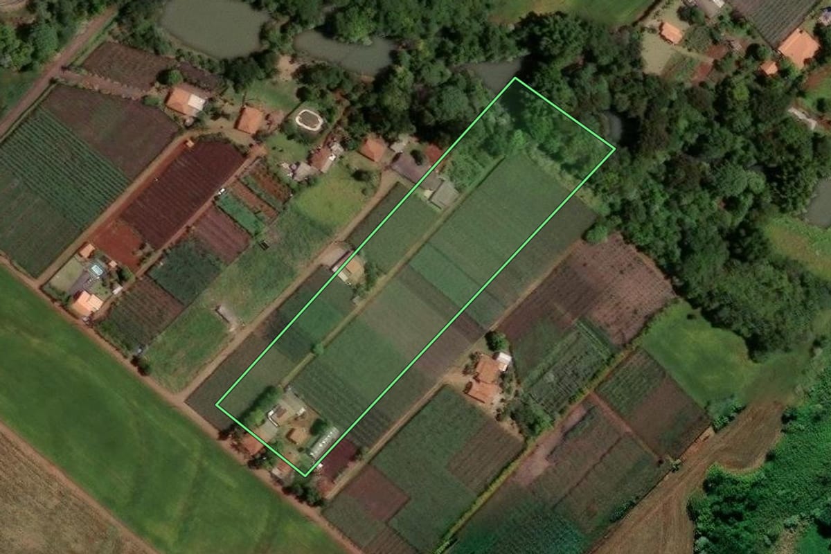 Imagem de satélite do imóvel rural em Marialva (PR), com o contorno declarado no CAR desenhado por cima.