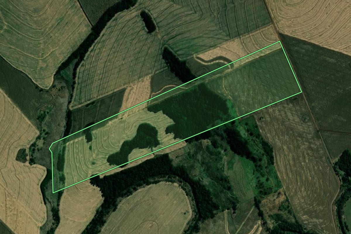 Imagem de satélite do imóvel rural em Marialva (PR), com o contorno declarado no CAR desenhado por cima.