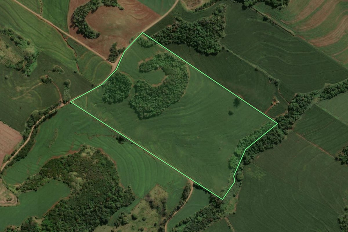 Imagem de satélite do imóvel rural em Marialva (PR), com o contorno declarado no CAR desenhado por cima.