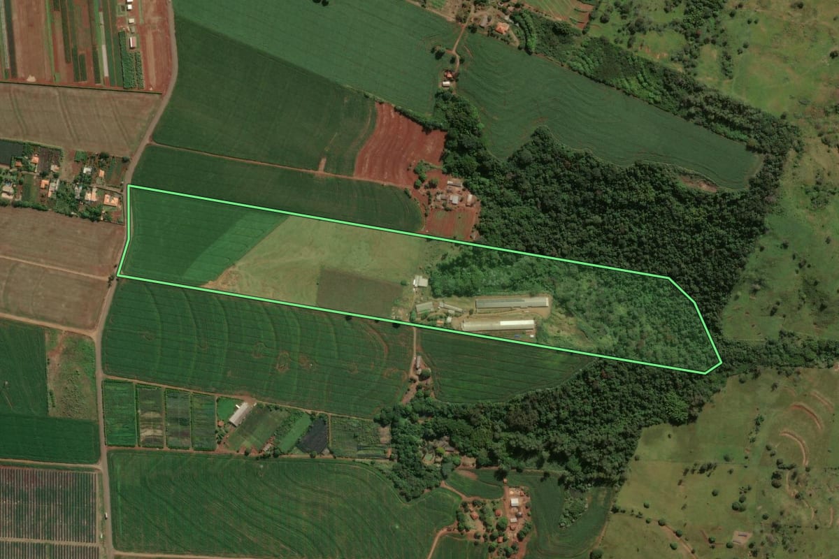 Imagem de satélite do imóvel rural em Marialva (PR), com o contorno declarado no CAR desenhado por cima.