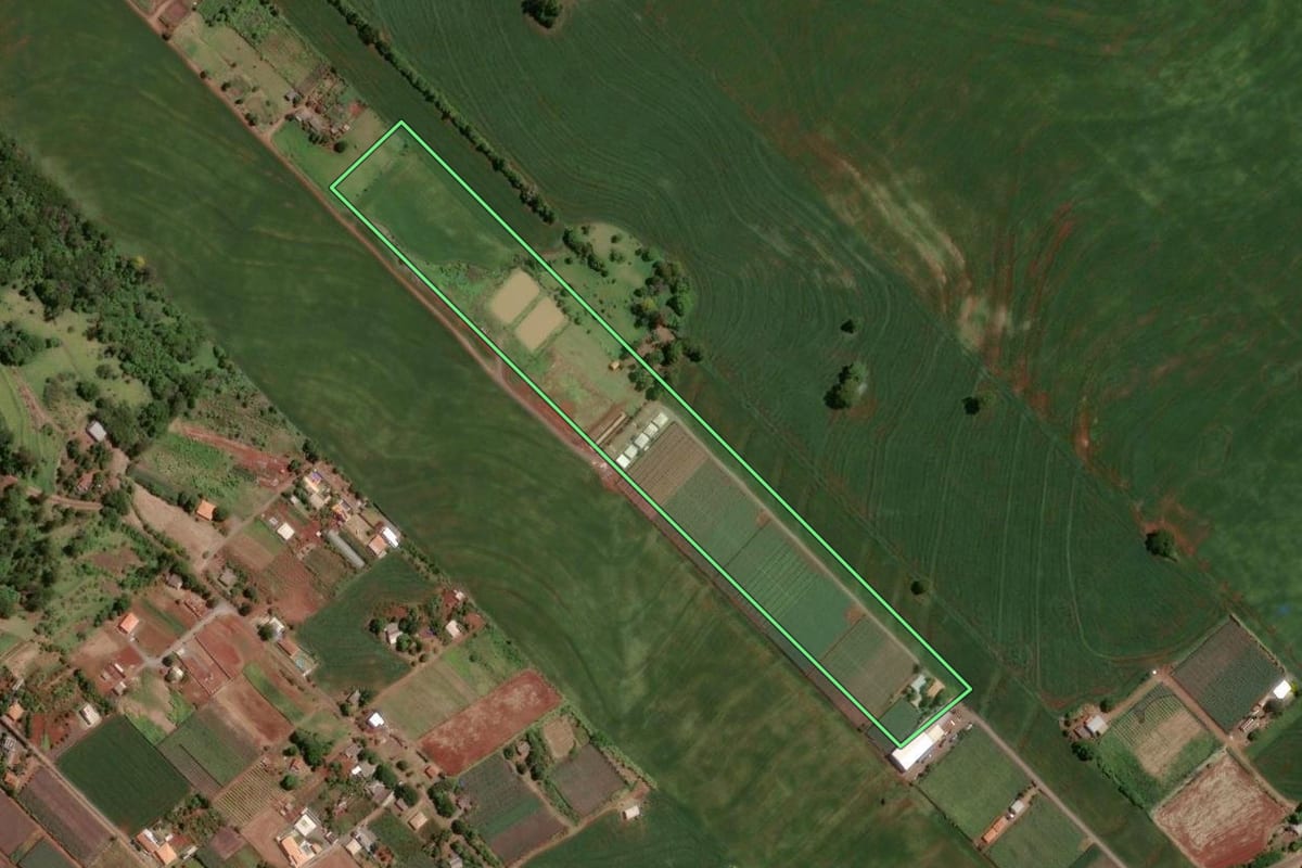 Imagem de satélite do imóvel rural em Marialva (PR), com o contorno declarado no CAR desenhado por cima.