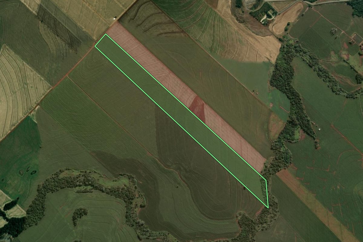 Imagem de satélite do imóvel rural em Marialva (PR), com o contorno declarado no CAR desenhado por cima.