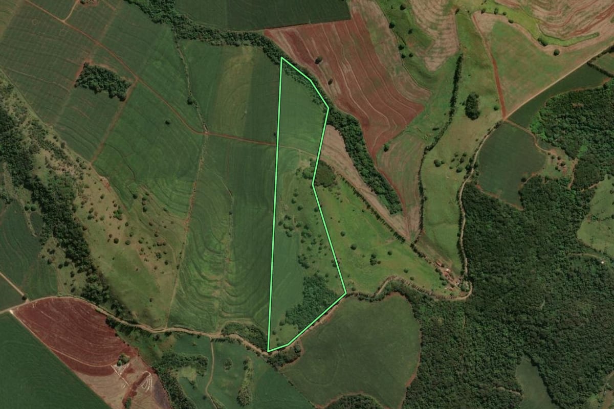 Imagem de satélite do imóvel rural em Marialva (PR), com o contorno declarado no CAR desenhado por cima.