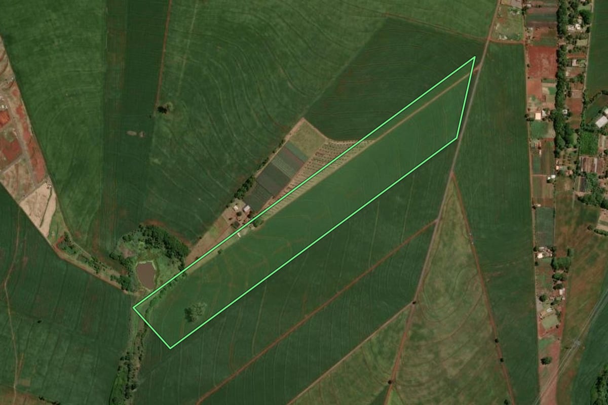 Imagem de satélite do imóvel rural em Marialva (PR), com o contorno declarado no CAR desenhado por cima.
