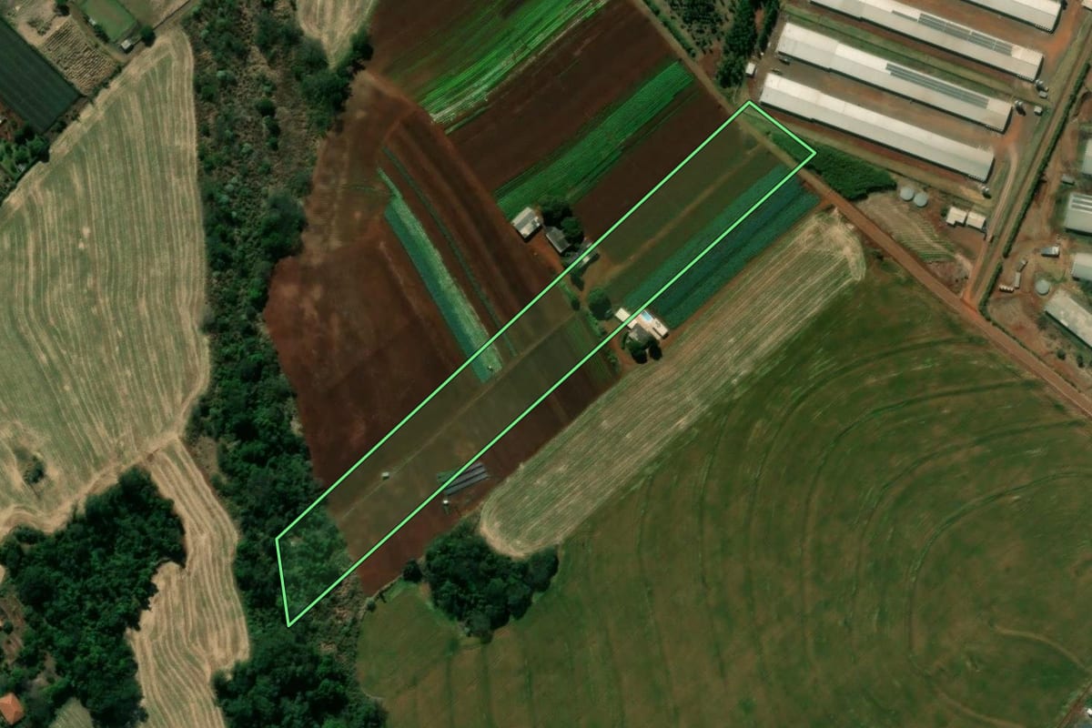 Imagem de satélite do imóvel rural em Marialva (PR), com o contorno declarado no CAR desenhado por cima.