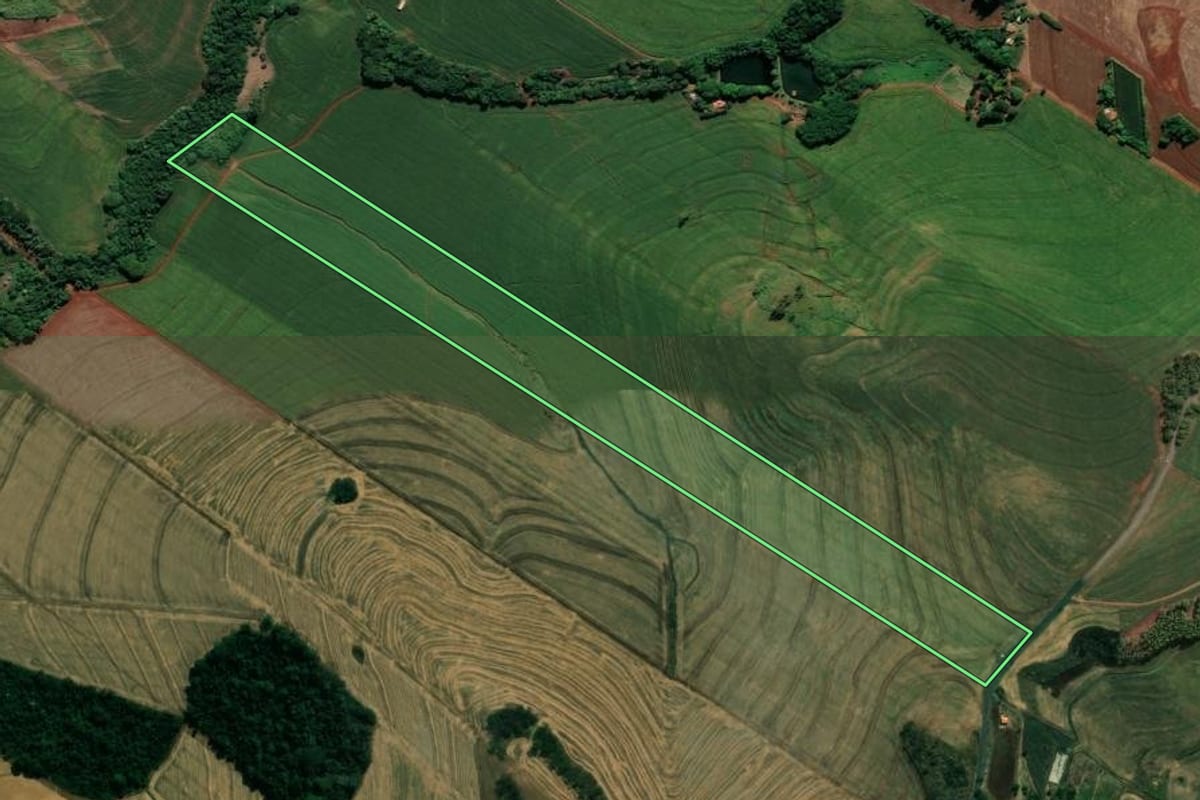 Imagem de satélite do imóvel rural em Marialva (PR), com o contorno declarado no CAR desenhado por cima.