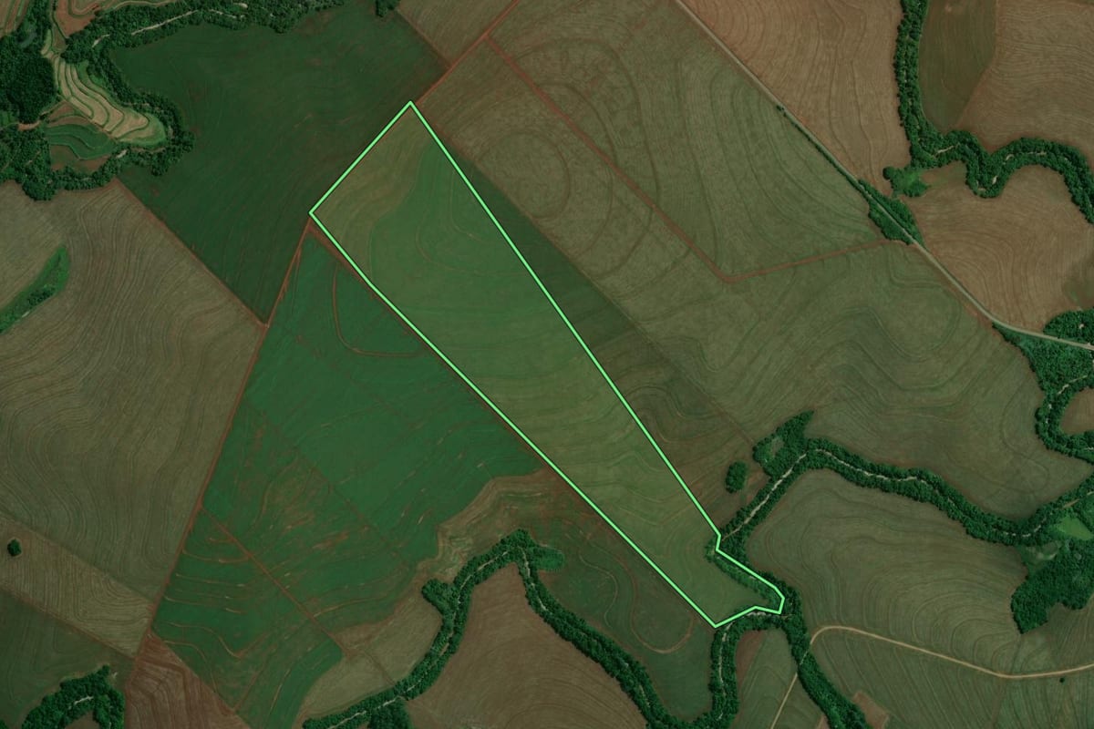Imagem de satélite do imóvel rural em Marialva (PR), com o contorno declarado no CAR desenhado por cima.