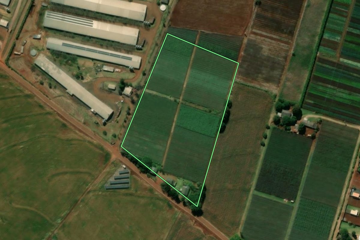 Imagem de satélite do imóvel rural em Marialva (PR), com o contorno declarado no CAR desenhado por cima.