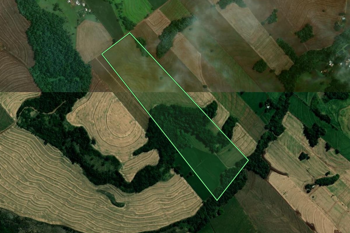 Imagem de satélite do imóvel rural em Marialva (PR), com o contorno declarado no CAR desenhado por cima.