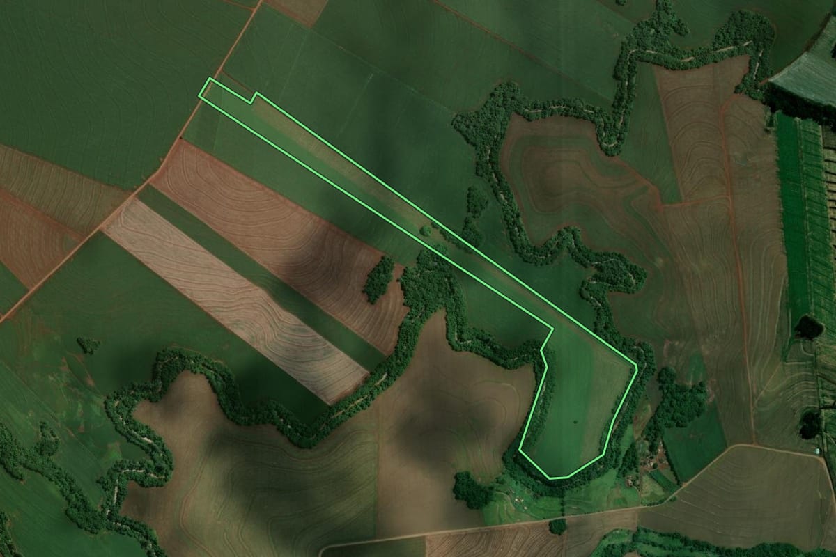 Imagem de satélite do imóvel rural em Marialva (PR), com o contorno declarado no CAR desenhado por cima.