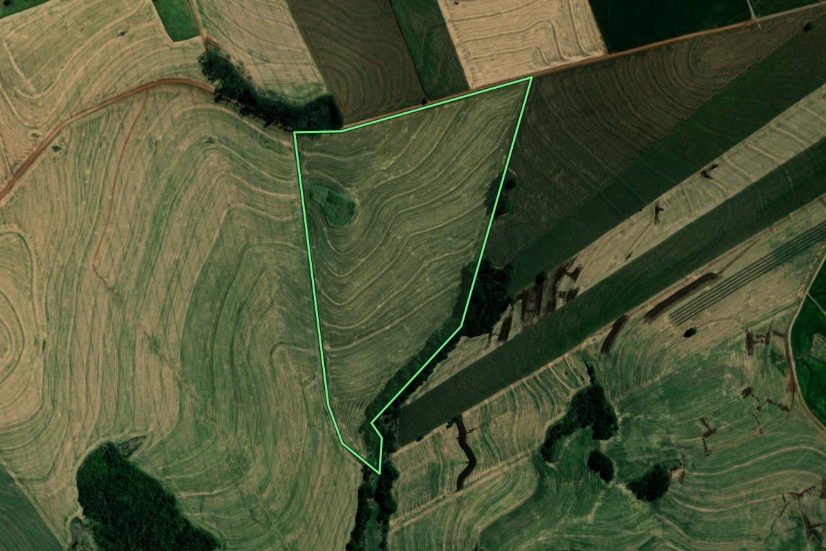 Imagem de satélite do imóvel rural em Marialva (PR), com o contorno declarado no CAR desenhado por cima.