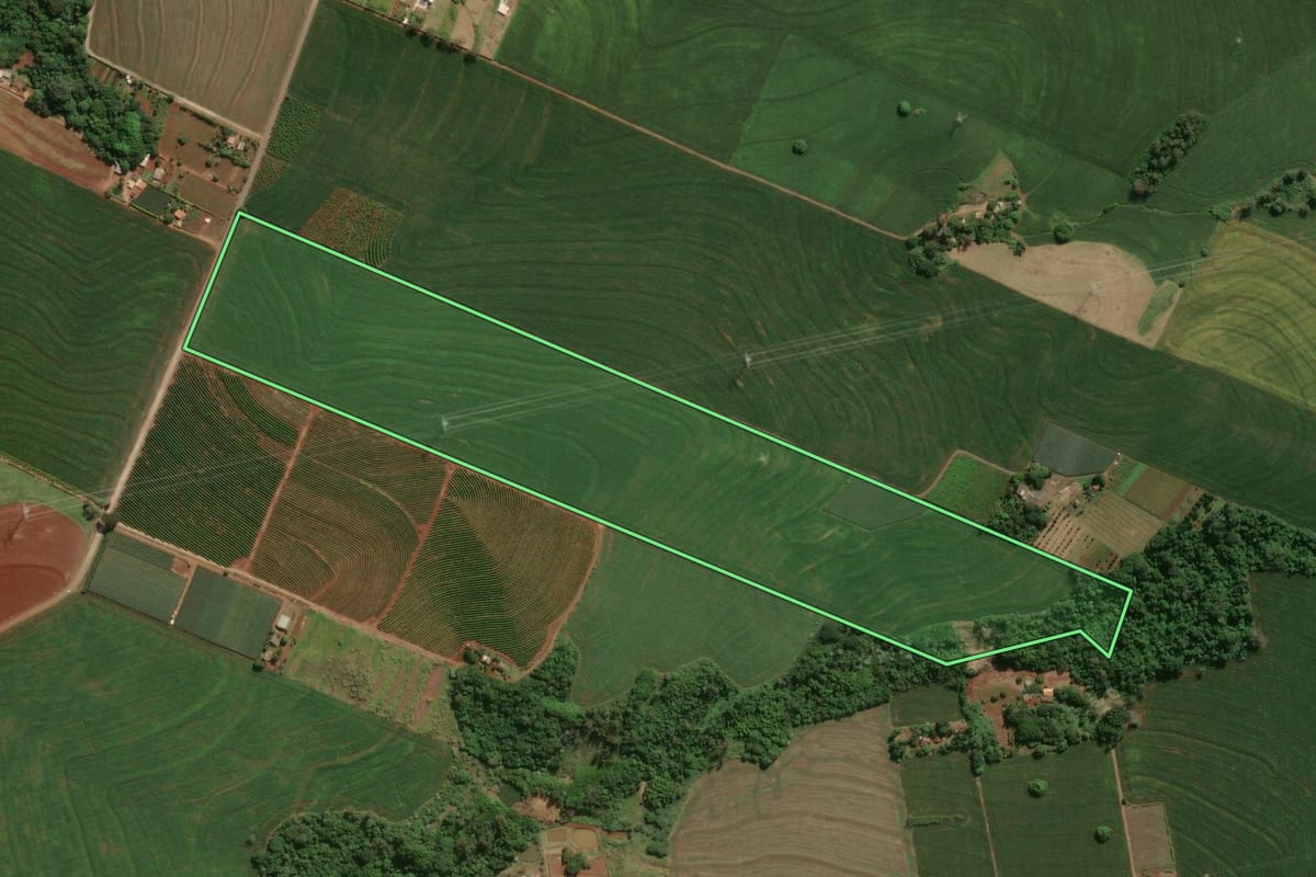 Imagem de satélite do imóvel rural em Marialva (PR), com o contorno declarado no CAR desenhado por cima.