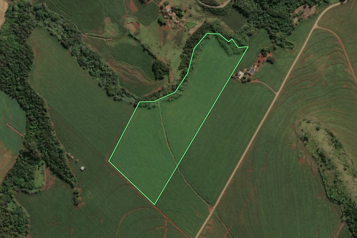 Imagem de satélite do imóvel rural em Marialva (PR), com o contorno declarado no CAR desenhado por cima.