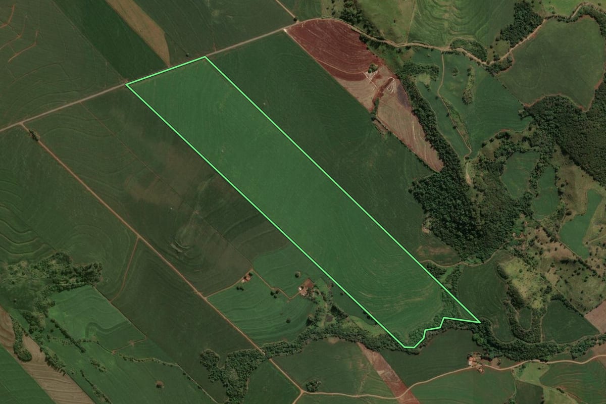 Imagem de satélite do imóvel rural em Marialva (PR), com o contorno declarado no CAR desenhado por cima.