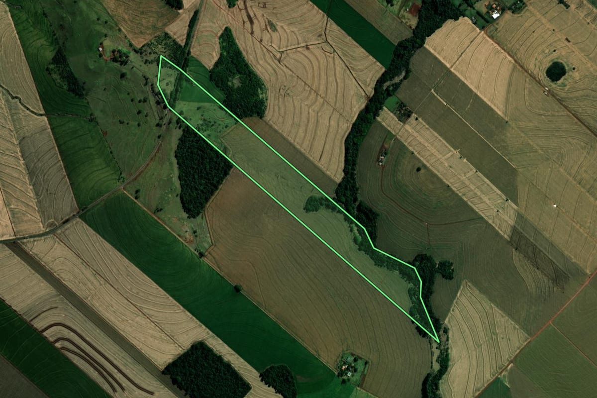 Imagem de satélite do imóvel rural em Marialva (PR), com o contorno declarado no CAR desenhado por cima.