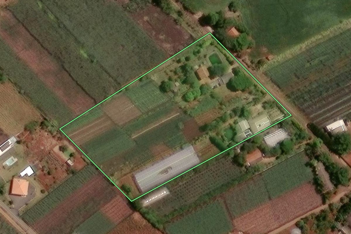 Imagem de satélite do imóvel rural em Marialva (PR), com o contorno declarado no CAR desenhado por cima.