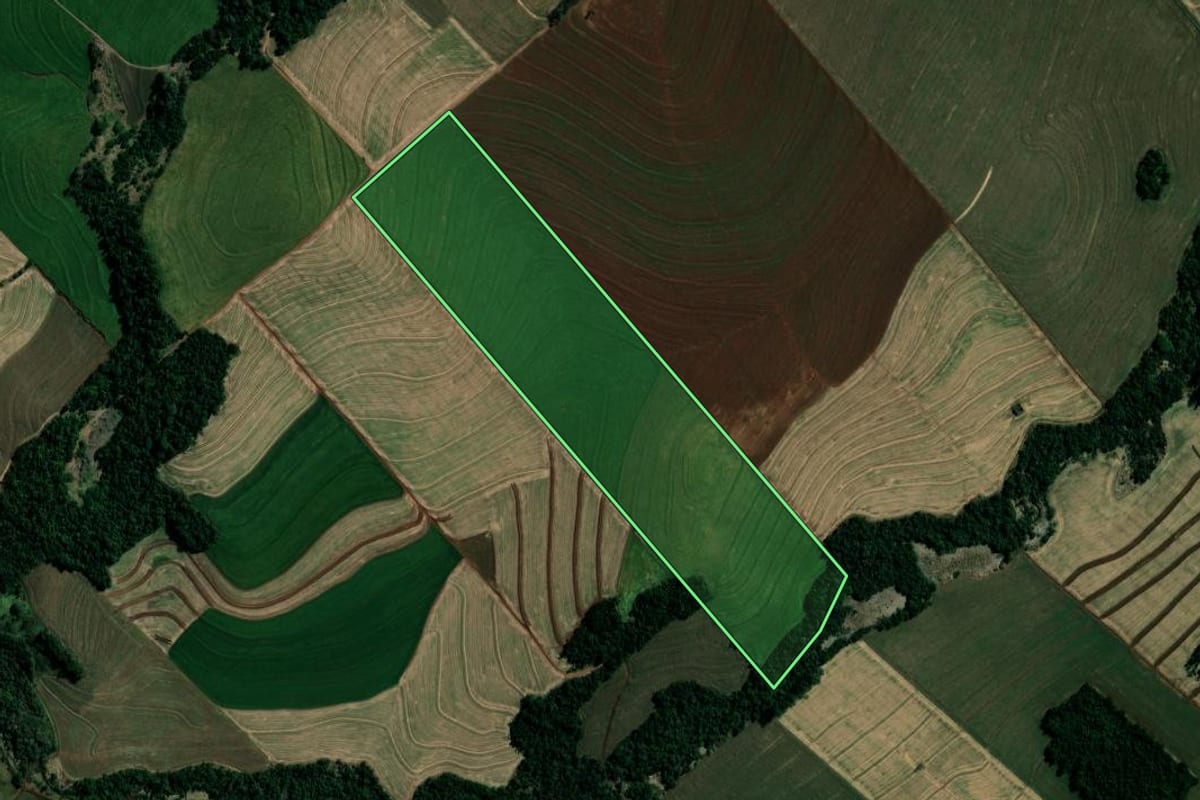 Imagem de satélite do imóvel rural em Marialva (PR), com o contorno declarado no CAR desenhado por cima.