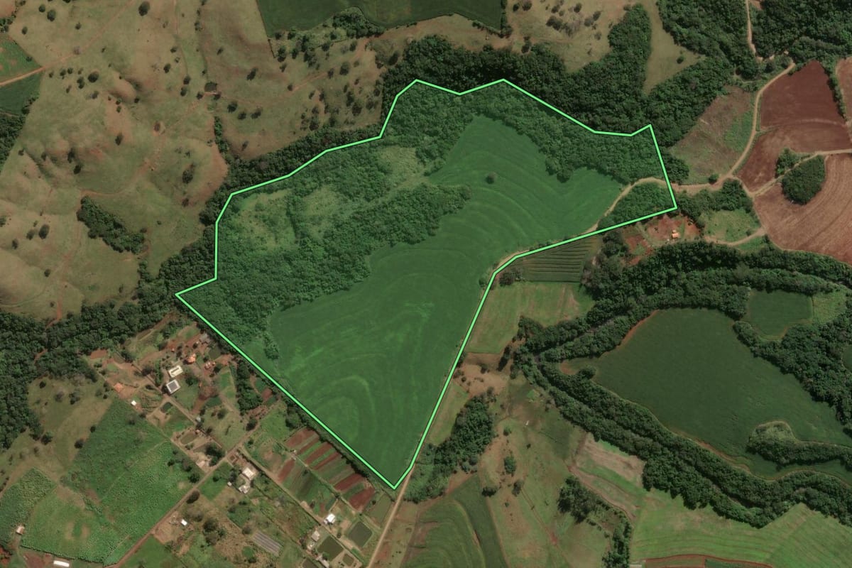 Imagem de satélite do imóvel rural em Marialva (PR), com o contorno declarado no CAR desenhado por cima.