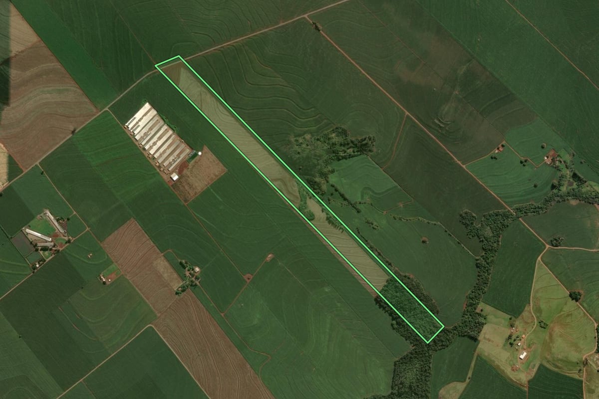 Imagem de satélite do imóvel rural em Marialva (PR), com o contorno declarado no CAR desenhado por cima.