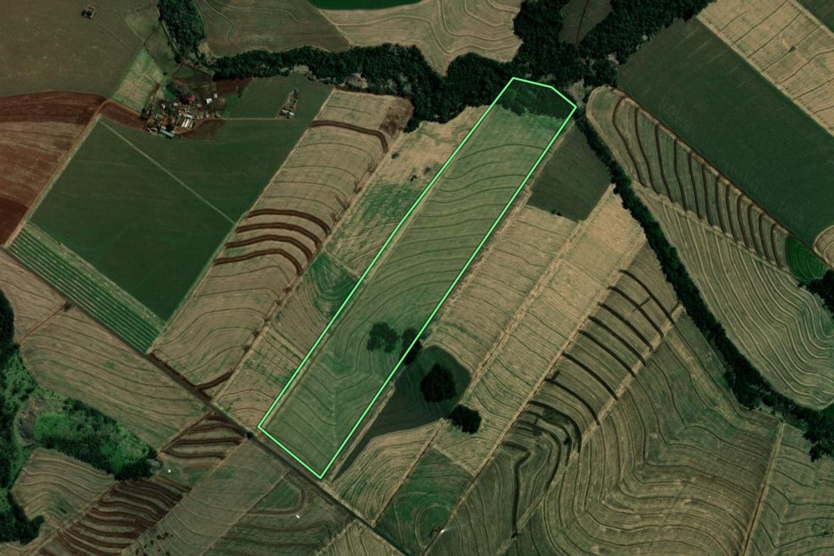 Imagem de satélite do imóvel rural em Marialva (PR), com o contorno declarado no CAR desenhado por cima.